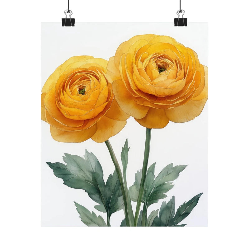 Boho Yellow Ranunculus Flower Art Print Poster, Minimalist Floral Wall Art 1 Ranunculus