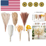 Fluffy 100PCS Pampas Grass Bouquet - Elegant Dried Flowers for Weddings & Homes Pampas Grass