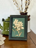 Vintage Framed Dried Flowers Arrangement Under Glass OOAK Art Dried Flower