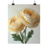 Boho Cream Ranunculus Flower Art Print Poster, Minimalist Floral Wall Art 1 Ranunculus