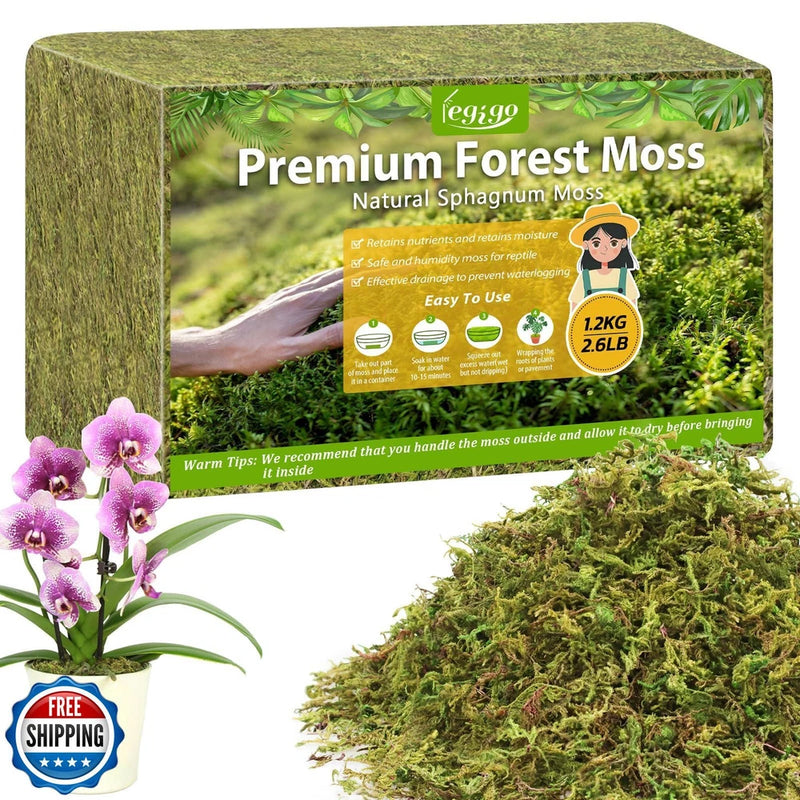 Premium forest moss sphagnum in a green branded box with moss pile beside it