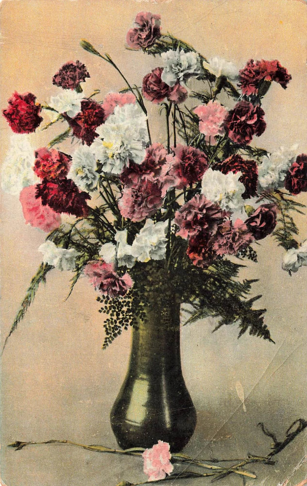 RED WHITE PINK CARNATION FLOWER VASE VINTAGE GREETING POSTCARD 1913 Carnation