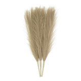 3pcs Dried Faux Pampas Grass 17" Artificial Pampas Grass Decor Brown Pampas Grass