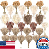 610 PCS Pampas Grass Decor Dried Flower Bouquets for Wedding Home Centerpieces Pampas Grass