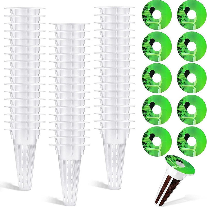 50 Pack Plant Growth Basket for Indoor Rooftop Garden Soilless Cultivation Garden Plants
