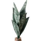 Realistic PVC Snake Plant Fake Green Plant for Shelf and Table Decoration Green Plant