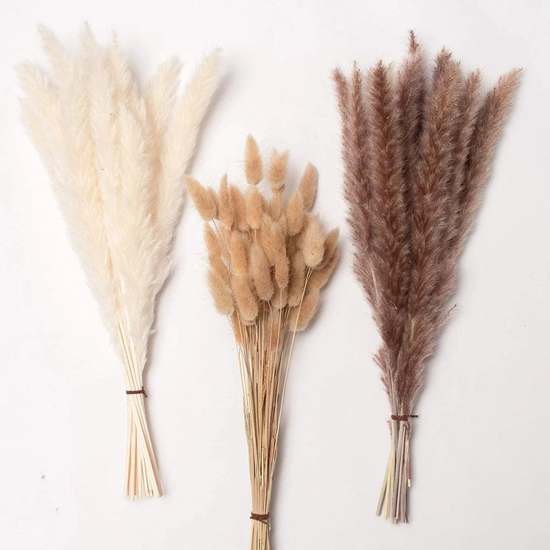 Natural Dried Pampas 90 pc 17" Set 30 pc White 60pc Natural Rabbit Tail Decor Pampas Grass