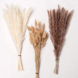 Natural Dried Pampas 90 pc 17" Set 30 pc White 60pc Natural Rabbit Tail Decor Pampas Grass