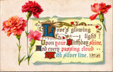 Loves Glowing Light Upon Your Birthday Shine Pink Carnations 1910s Postcard Carnation