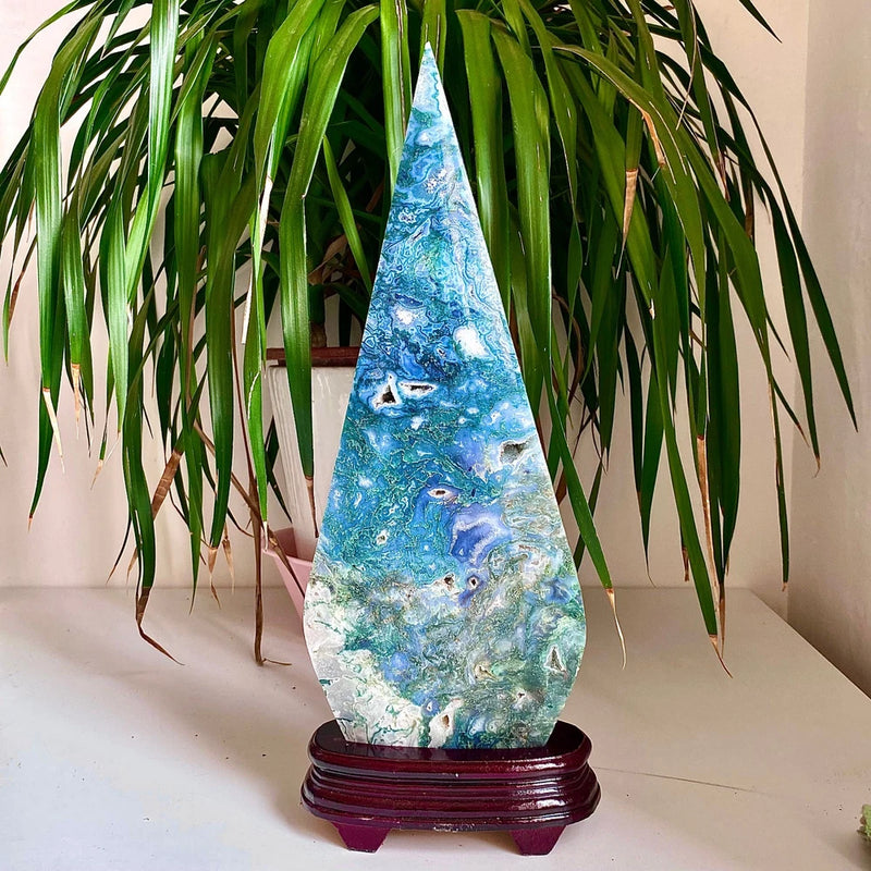 6.15LB Natural green aquatic plant droplet shaped crystal specimen Green Plant