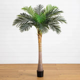 6Õ Artificial Coconut Palm Tree. Retail $199 Green Plant