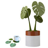Monstera Plant Coasters Set 3D Printed, Waterproof&Anti-Scald Plant Coaster, ... Green Plant