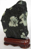 Unique PEONY STONE-BONSAI SUISEKI-Green Peony Blossom Peony
