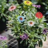 5x Metal Sunflower Garden Stakes Outdoor Decor Stake for Sunflower