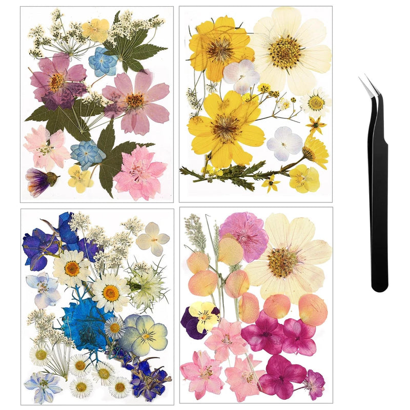 Nuanchu Pressed Flowers Bulk Dried Flower for Crafts, Dried Wildflowers Leave Dried Flower