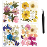 Nuanchu Pressed Flowers Bulk Dried Flower for Crafts, Dried Wildflowers Leave Dried Flower