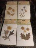 VTG Lot of 4 Distinctions in Nature Real Pressed Botanical Flowers Adhesive Back Dried Flower