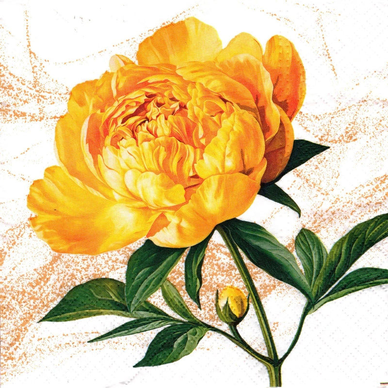(2) Two Paper Lunch Napkins for Decoupage/Mixed Media - Peony Blossom flower Peony