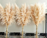40" Tall Pampas Grass Ð 16 Stems Natural Pompas Grass for Wedding, Party, Farmho Pampas Grass