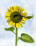 8x10 Original Watercolor Sunflower Flower Garden Summer Peggy Byers SSS Sunflower
