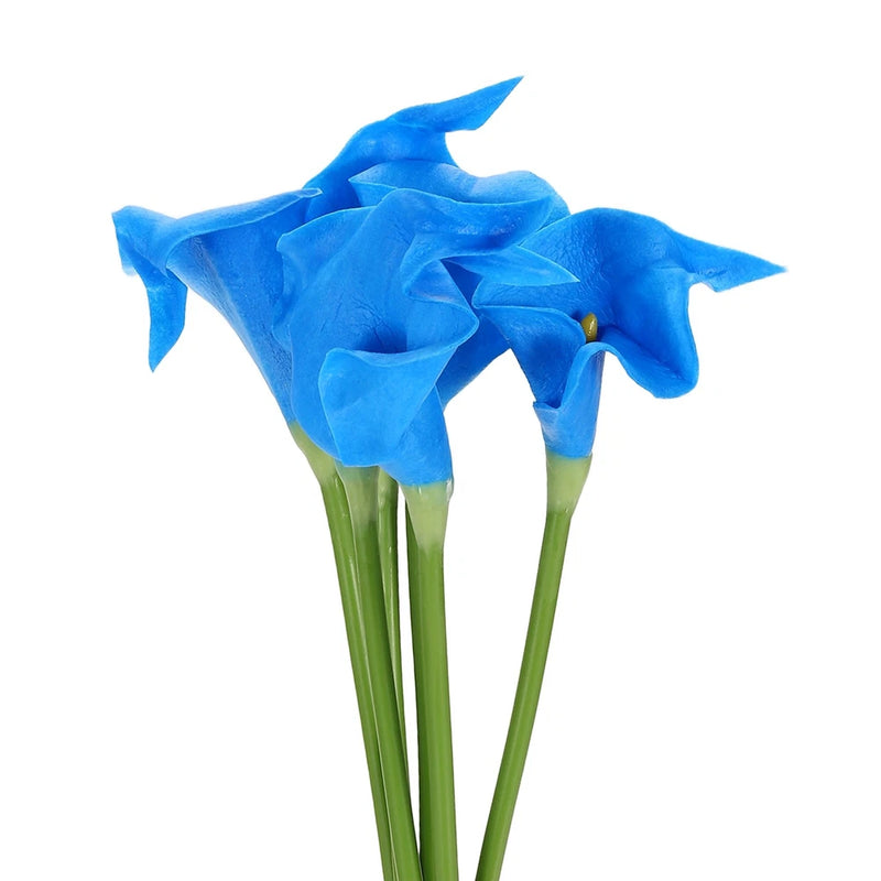 6 Pcs 13 Inch Artificial Calla Lily Fake Flowers Real Touch, Blue/Yellow Lily