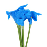 6 Pcs 13 Inch Artificial Calla Lily Fake Flowers Real Touch, Blue/Yellow Lily