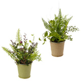 NEW~RAZ Imports~12" Potted Mixed Fern Artificial Plant Flower~Set 2~Floral Decor Green Plant