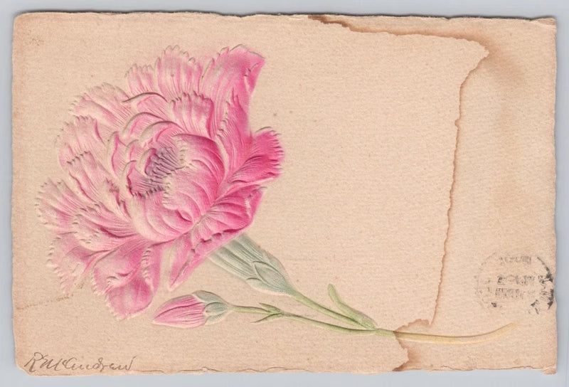 Vintage postcard with embossed pink carnation flower and green leaves, torn-edge background