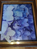 Hydrangea Pedals  Large Glossy Photo Print Home & Office Colorful Flower Art Hydrangea