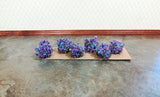 Dollhouse Miniature Flowering Shrub Purple Small Bush Round Border Plant Flowering Plants