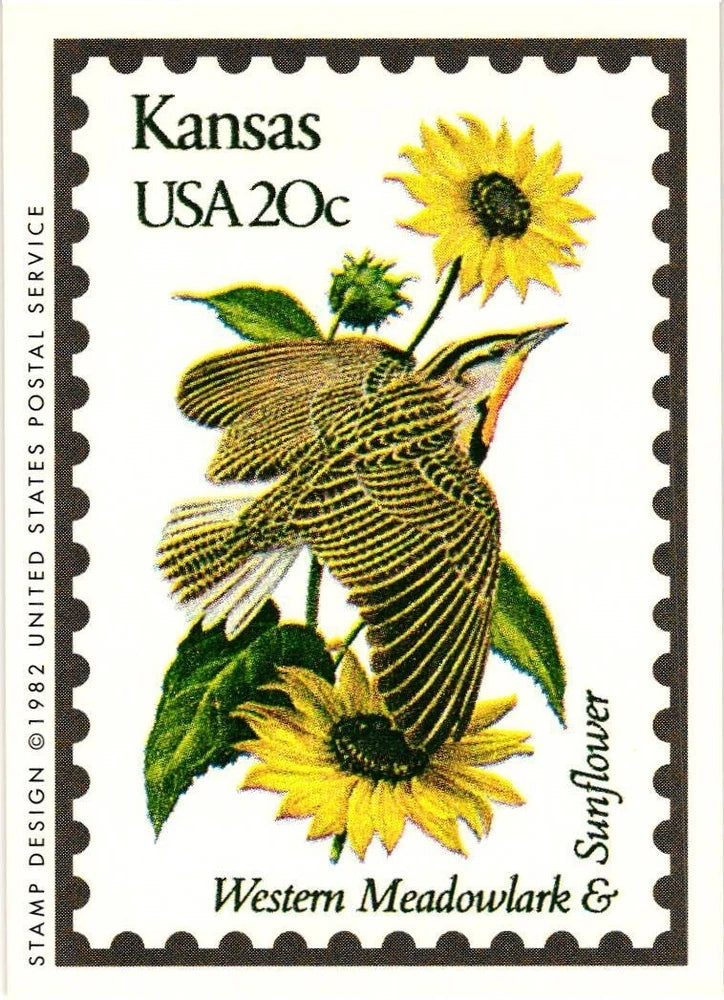Kansas State Bird Western Meadowlark State Flower Sunflower Sunflower