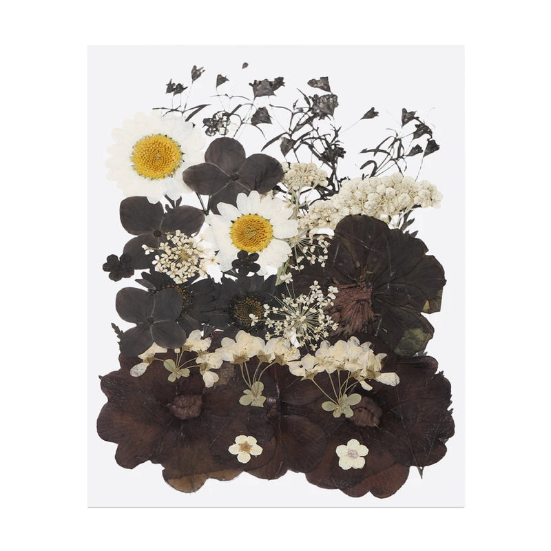 30 Pcs Dried Pressed Flower Leaves Bulk for Resin, Black White Dried Flower