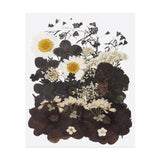 30 Pcs Dried Pressed Flower Leaves Bulk for Resin, Black White Dried Flower
