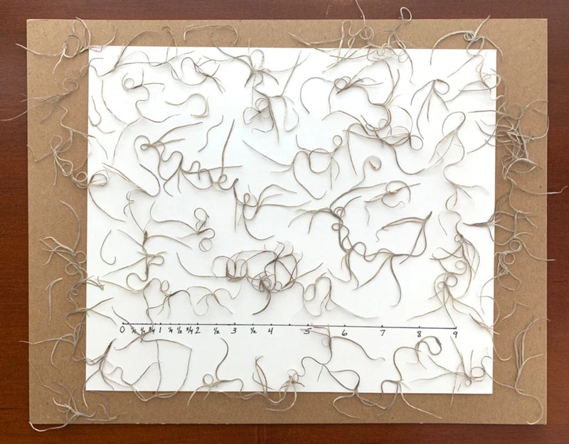 32 pc spanish moss natural pressed flowers cards art/crafts candles resin USA Dried Flower