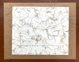 32 pc spanish moss natural pressed flowers cards art/crafts candles resin USA Dried Flower