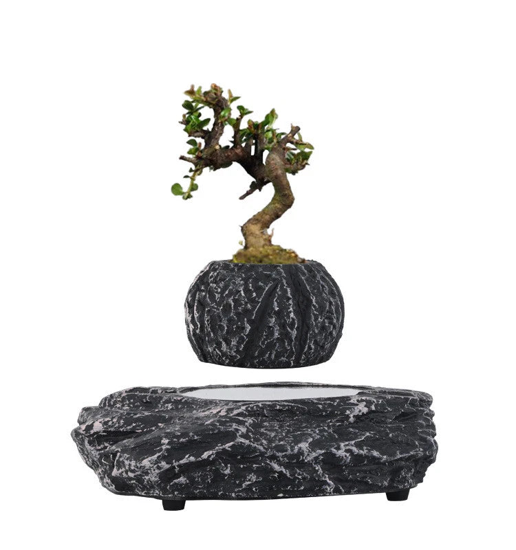 For Maglev explosion potted plant home green plant mini plant bonsai ornament Green Plant