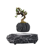 For Maglev explosion potted plant home green plant mini plant bonsai ornament Green Plant