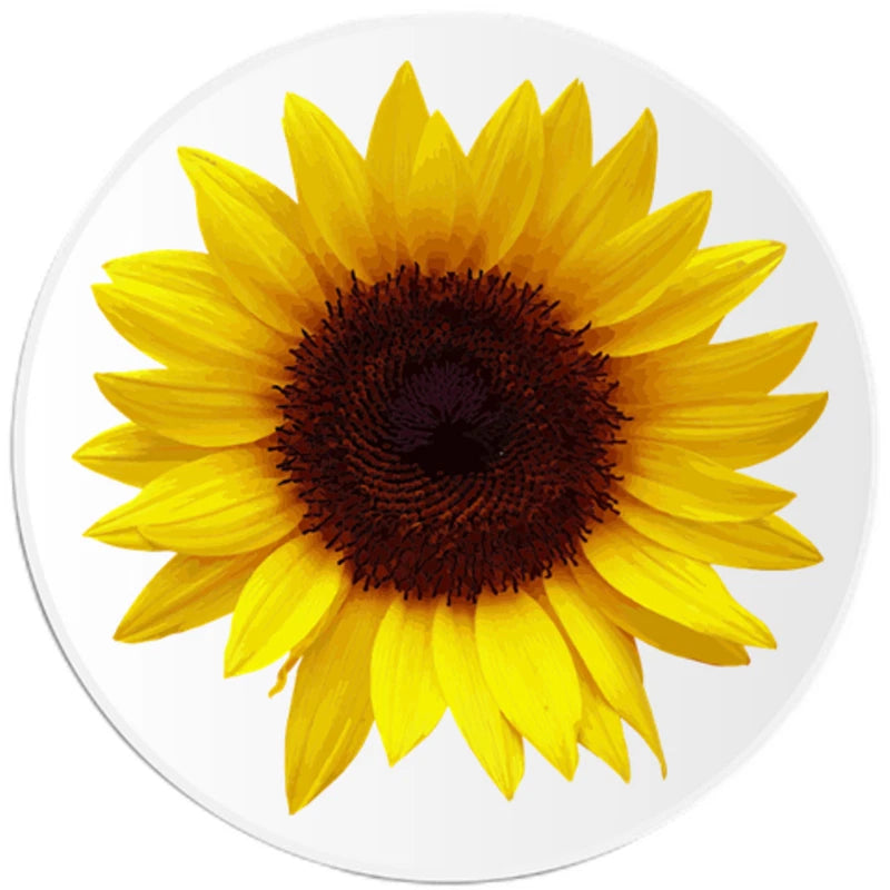 3 inch sunflower circle sticker decal with yellow petals and dark brown center