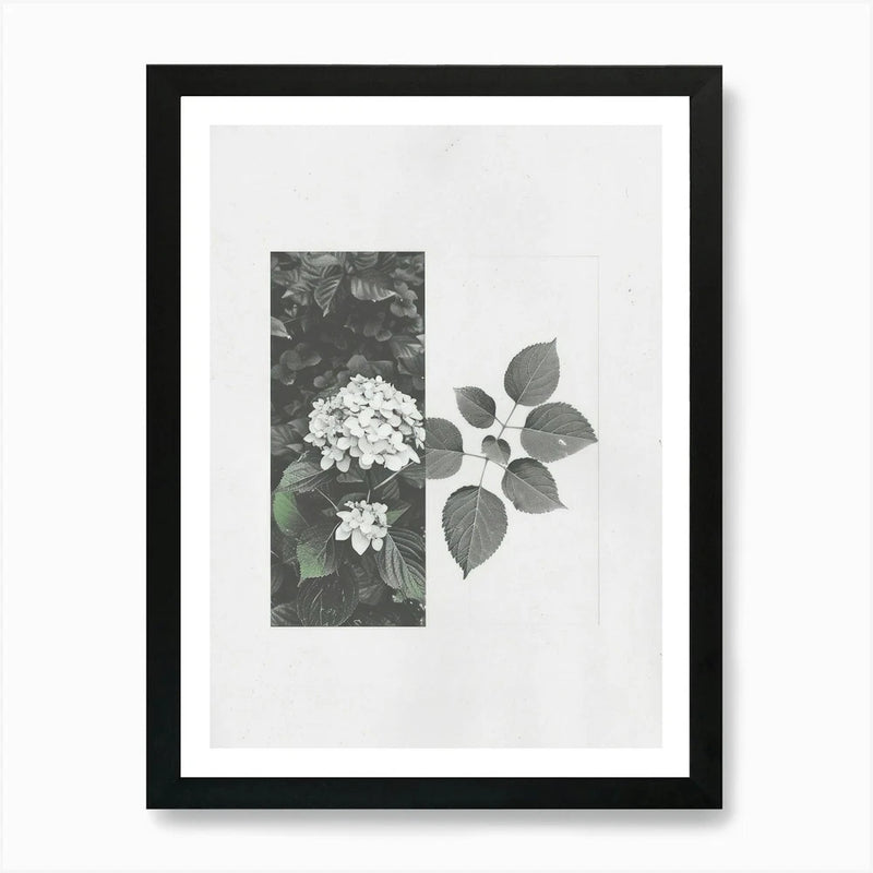 Hydrangea Flower Photo Collage 3 Ar Framed Wall Art Poster Canvas Print Picture Hydrangea