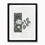 Hydrangea Flower Photo Collage 3 Ar Framed Wall Art Poster Canvas Print Picture Hydrangea