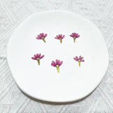 M&T 2007 12PCS real Pressed dried flowers, Floral supply for art craft FSS37 Dried Flower