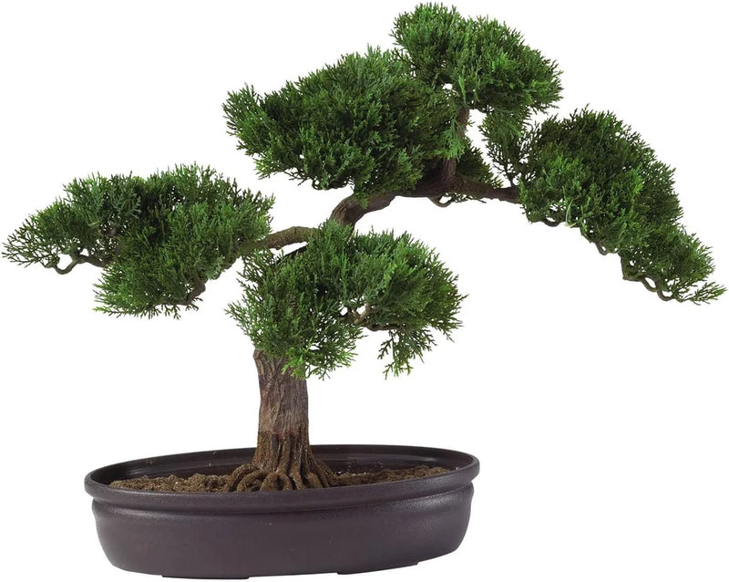 16-inch cedar bonsai silk plant in dark round pot, lush green foliage.