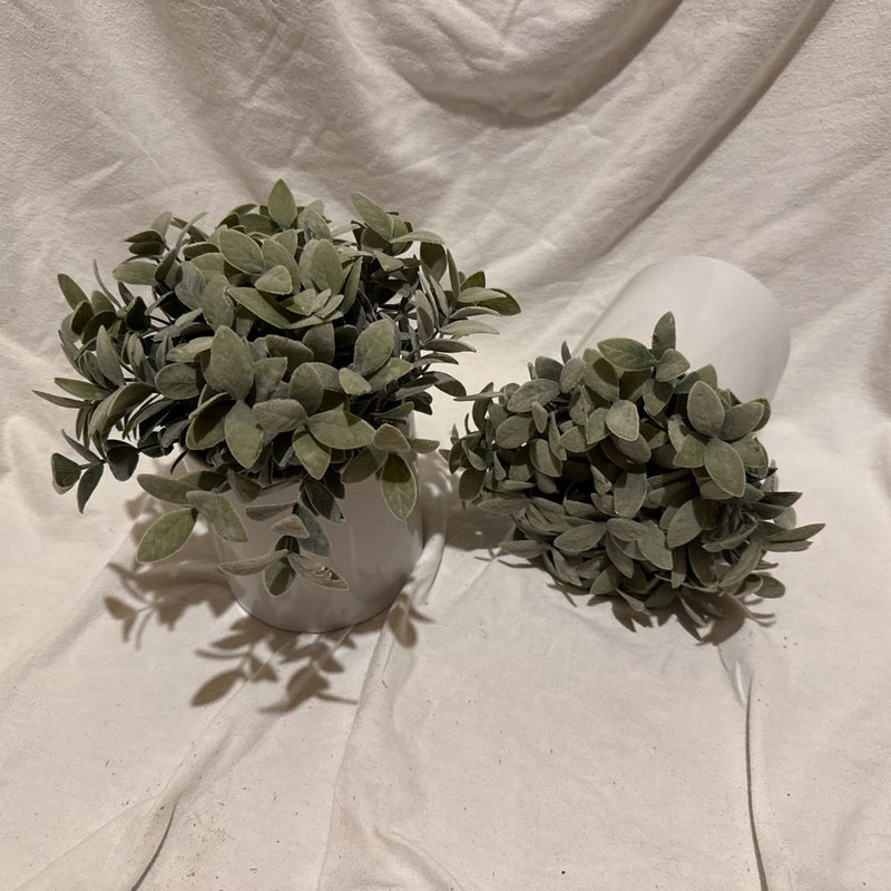 Lot 2 Matching Faux Frosted Sage Plant In White Crock Planters 6Ó X 8.5Ó Green Plant