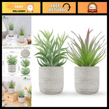 2 Pack Artificial Succulent Plants in Pots - Home, Office, Bathroom Decor, Boho Green Plant