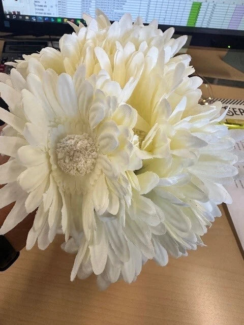 Gerbera Daisy Bouquet 9 Stems 10in Cream Bouquet