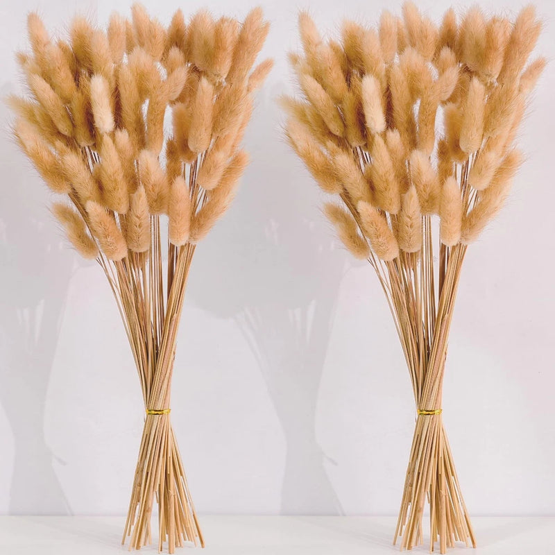 120 PCS Nature Dried Pampas Grass Decor, 17-inch Pompas Floral, Dry Flowers f... Pampas Grass