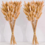 120 PCS Nature Dried Pampas Grass Decor, 17-inch Pompas Floral, Dry Flowers f... Pampas Grass
