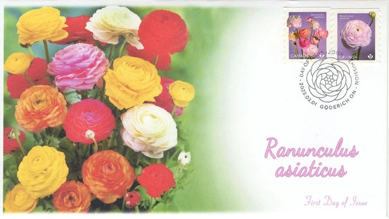 CA23-014, 2023, Ranunculus asiaticus, First Day of Issue, Pictorial Postmark, Go Ranunculus