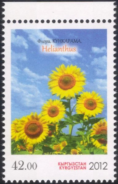 Kyrgyzstan 2012 Sunflowers/Flowers/Plants/Nature/Crops/Farming 1v (b6449q) Sunflower