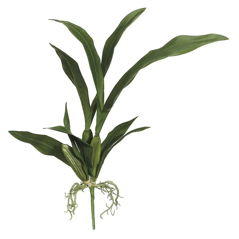 Artificial Oncidium orchid leaf bush with roots.   Silk orchids. Green Plant